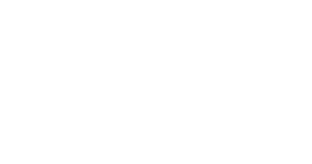 Swiftbrokers bird